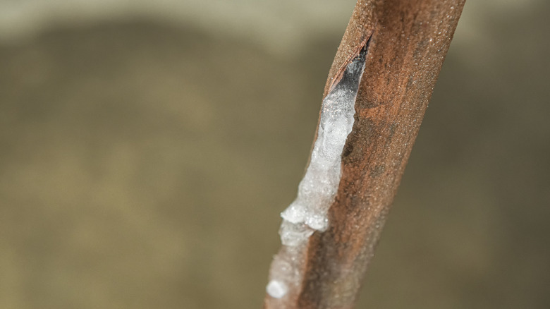 Broken frozen copper pipe