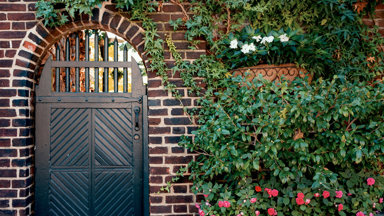 Brick wall and doorway with different colored climbing plants on the wall