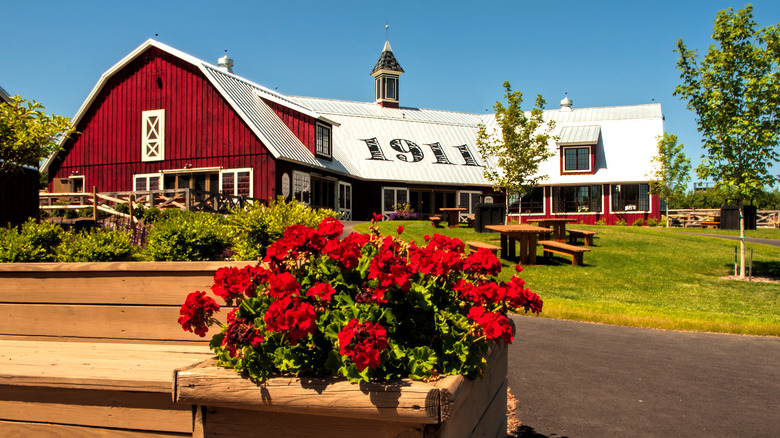 flowers and seating areas at Beak and Skiff Apple Orchard
