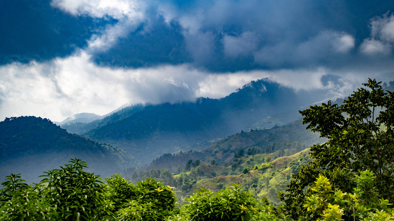 The mountains and valleys of Jamaica