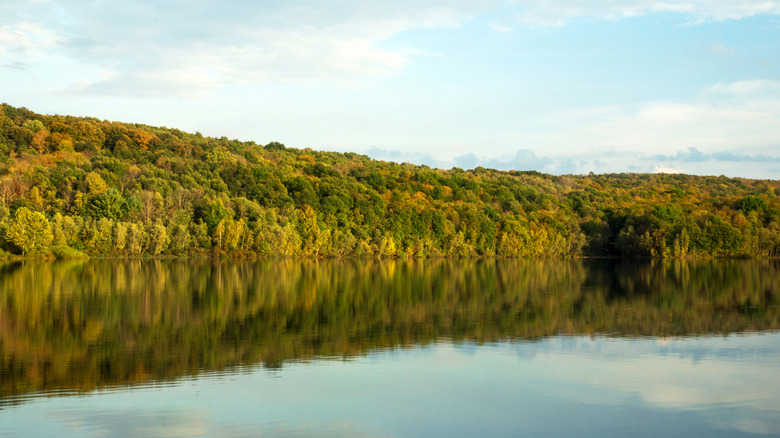 The calm surface of Prompton Lake