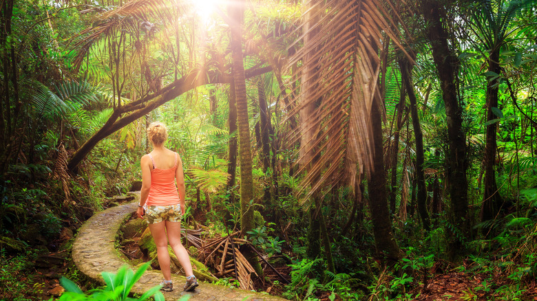 Hiking in El Yunque National Forest