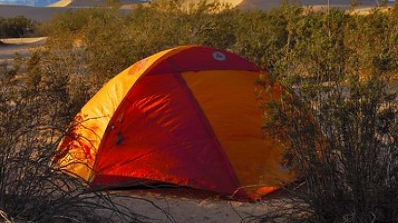 Red and orange dome tent pitched in Red Rock Canyon NCA