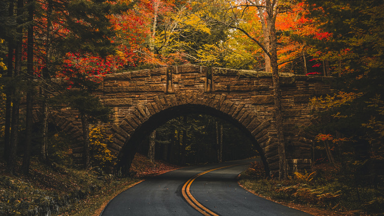 Autumn foliage on Park Loop Road