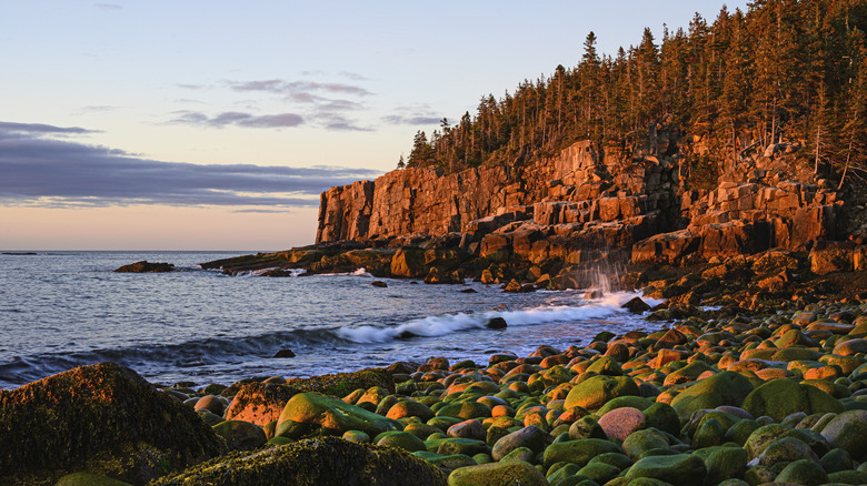 Ocean scenery at Acadia National Park