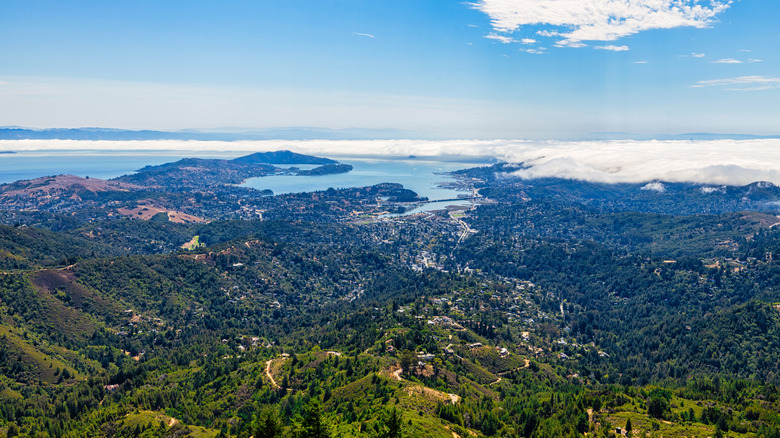 view of ocean, bay and housing from above on a sunny day