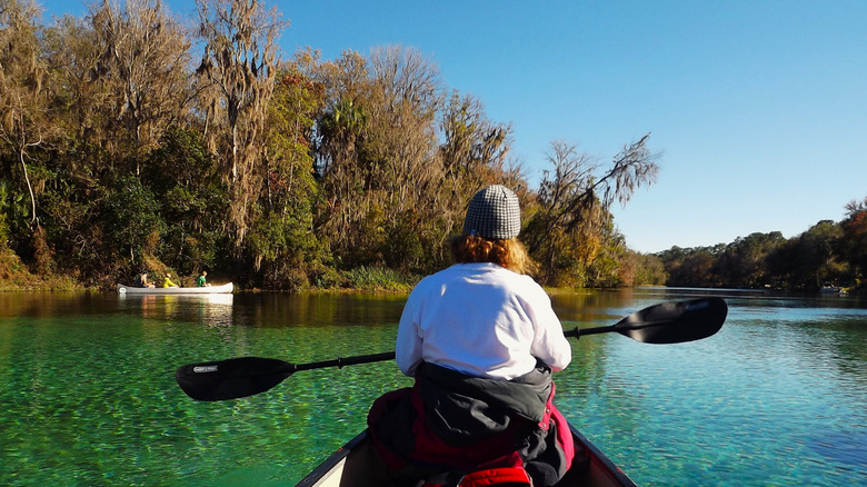 rainbow springs state park in florida