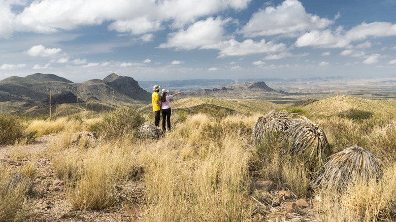 A young couple admiring the landscape at Big Bend National Park