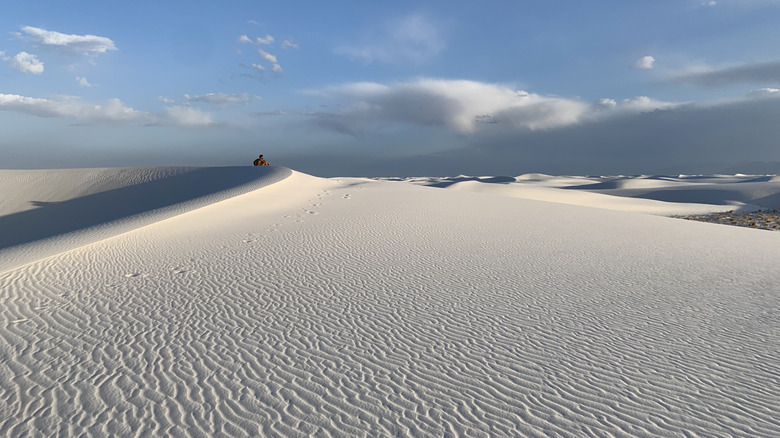 A view of the white sand landscape that gives White Sands National Park its name