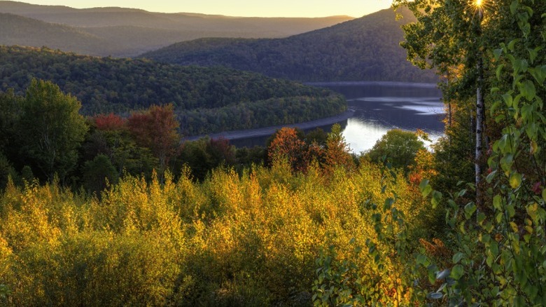 Fall scenic views on a trail near Andes, New York