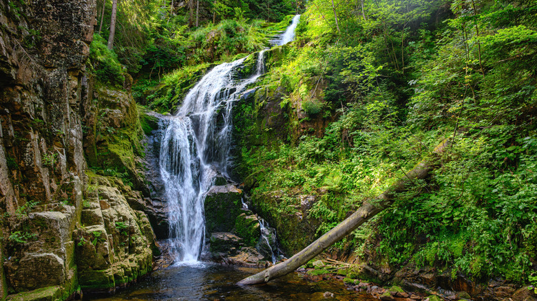 The Kamieńczyk Waterfall, cascading down a rock face covered in lush green growth