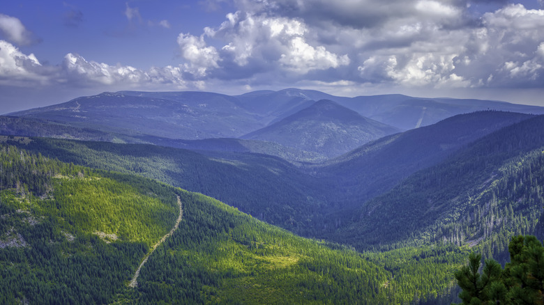 Sweeping vista of the green forested Karkonosze mountains
