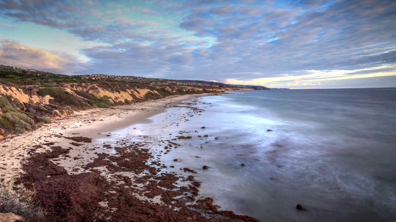 crystal cove state park