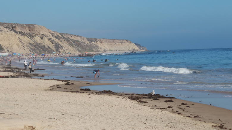 crystal cove state park