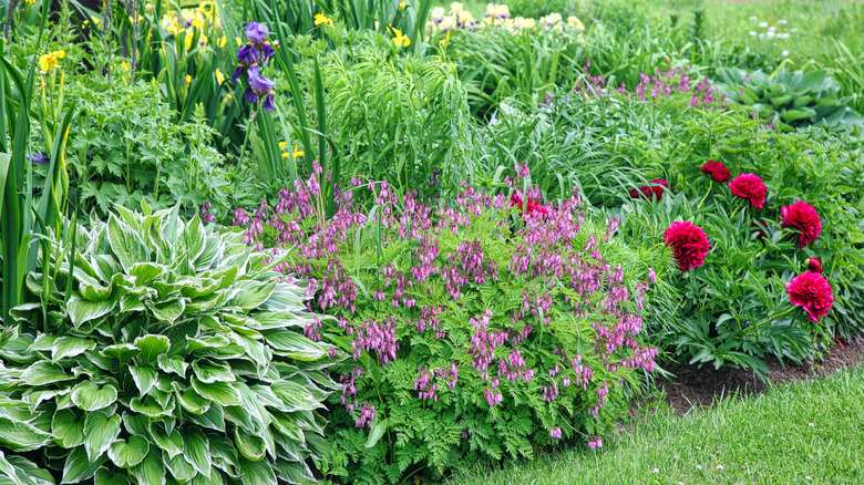 A spring garden with a variety of flowers