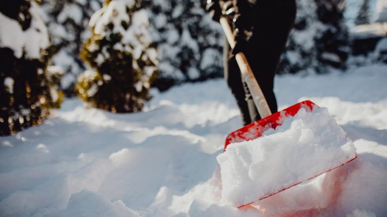 Person shoveling snow