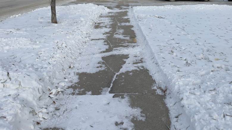 sidewalk with snow