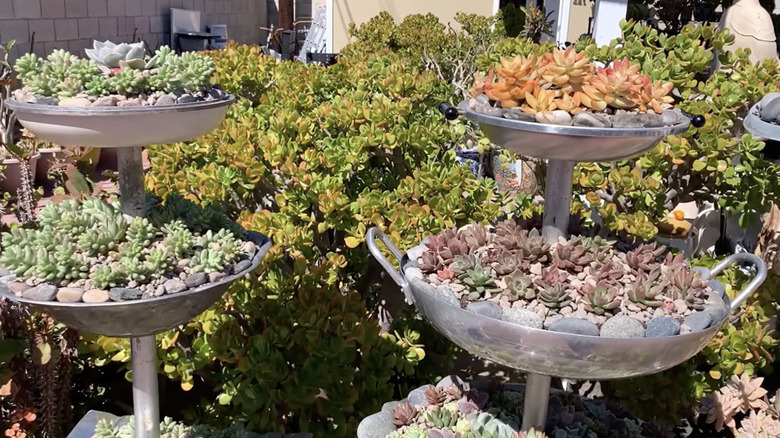 Wok tower succulent garden