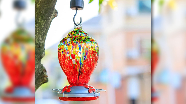 The WOSIBO glass hummingbird feeder hanging from a tree