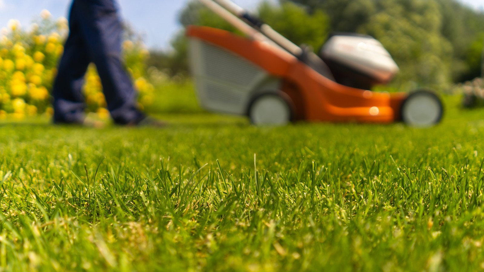 Gas Vs Electric: How To Determine Which Type Of Lawn Mowers And Tools ...