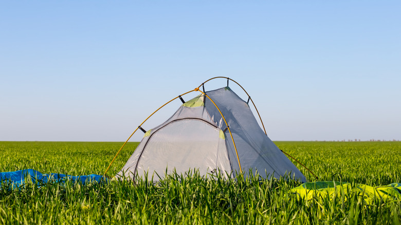 A tent pitched in the middle of an open grassy field
