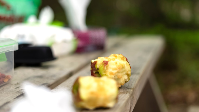 A camp picnic table with apple cores and food trash