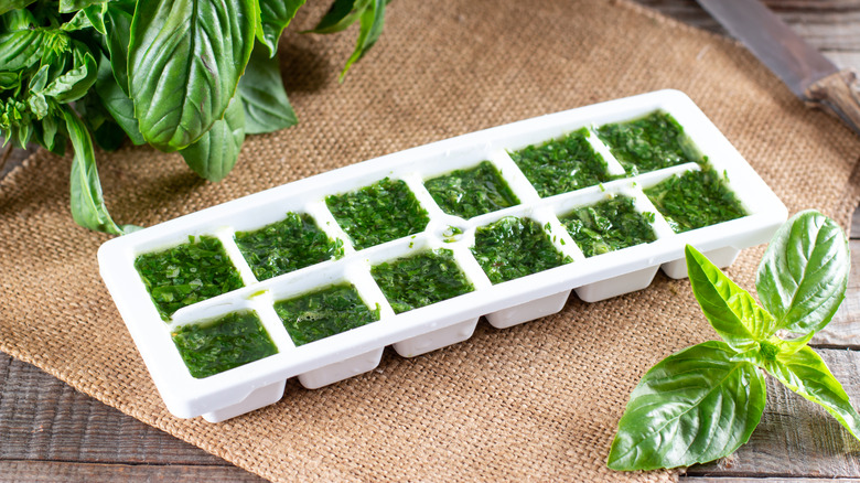 An ice cube tray filled with chopped basil mixed in olive oil