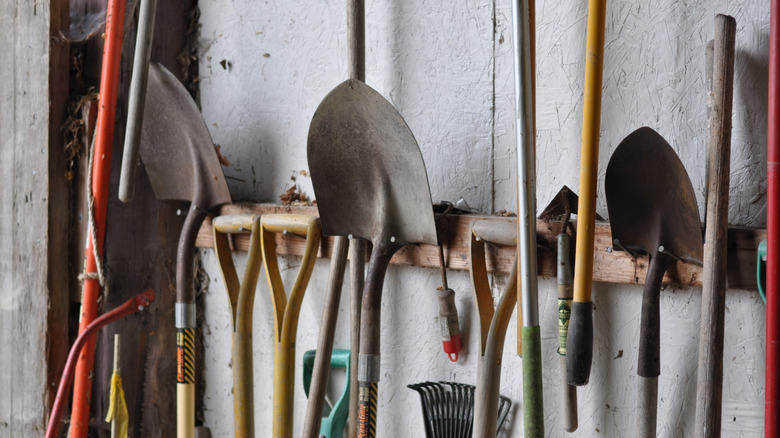 Garden tools hanging on a wall