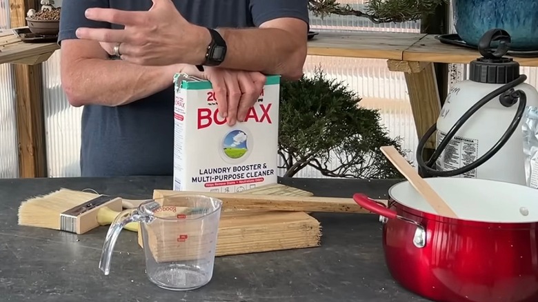 Person demonstrating insecticidal boric acid technique
