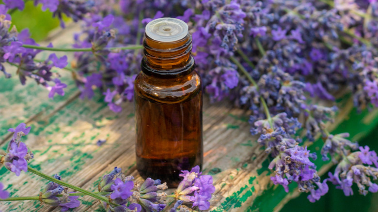 Lavender and lavender oil on table outside