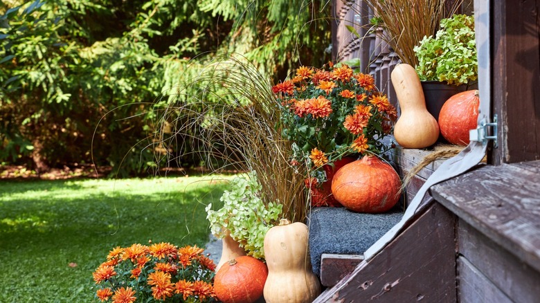 A side view of steps decorated for fall