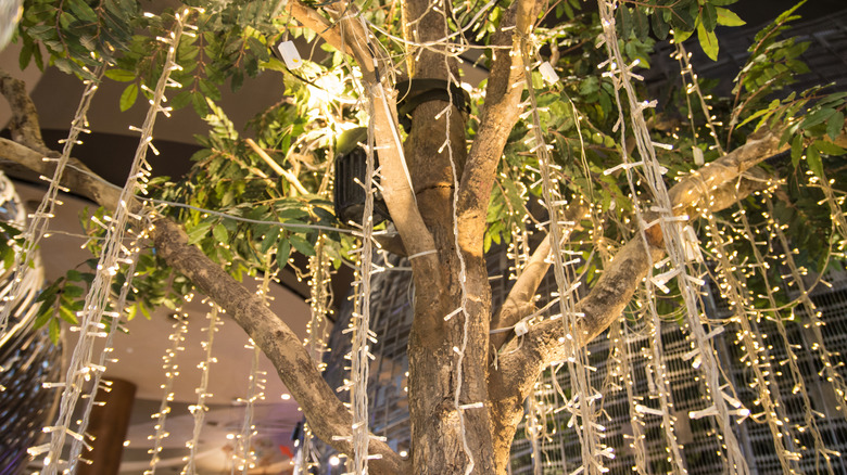 Tree decorated with curtain-style fairy lights