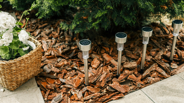 Solar lights staked into a patio-side border