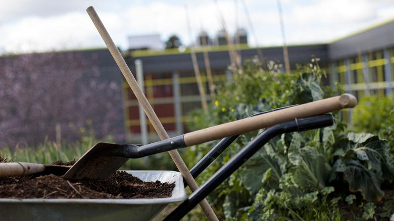 Manure compost ready for the garden