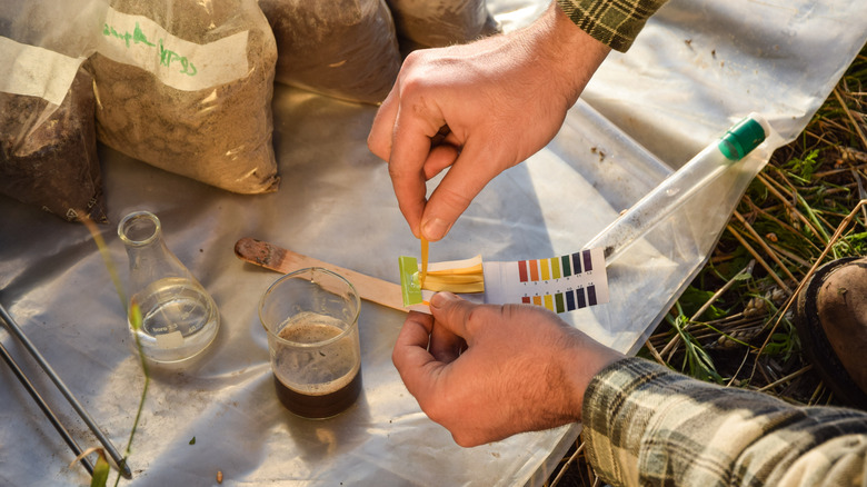Professional doing a soil test