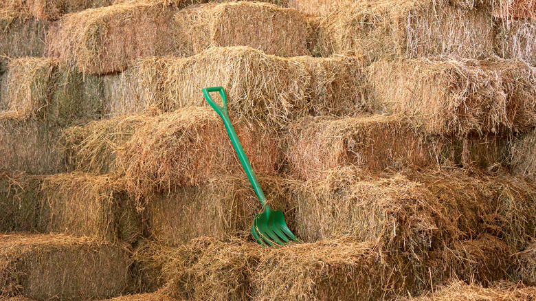 Large stack of hay bales with a pitchfork