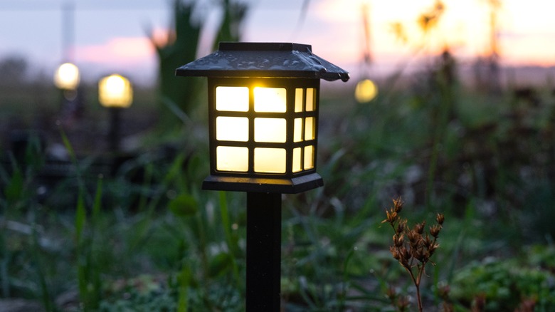 Lighted solar stakes in an evening garden