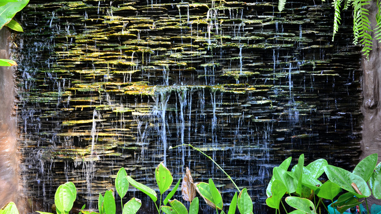 A stone wall turned into a waterfall in a garden
