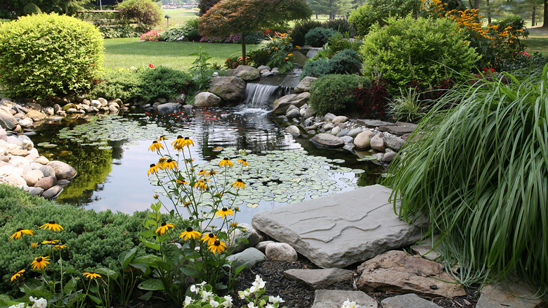 A pond fed by a waterfall in a beautifully landscaped garden