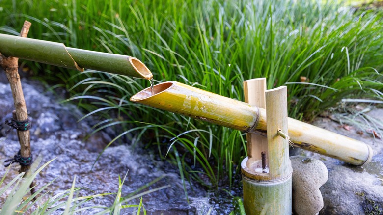 A decorative Japanese-style bamboo fountain