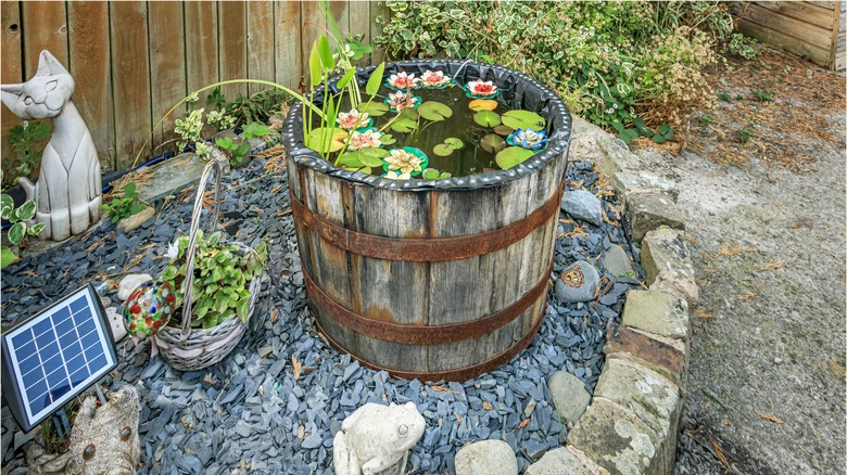 A barrel filled with water and aquatic plants