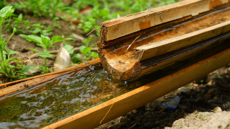 Water channels in a garden, made from bamboo