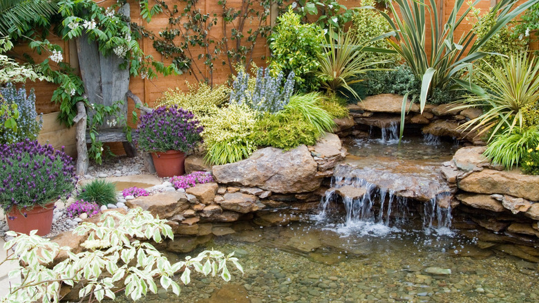 A beautiful pond in a well-landscaped garden