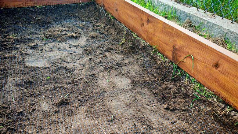 Hardware cloth installed inside raised garden bed