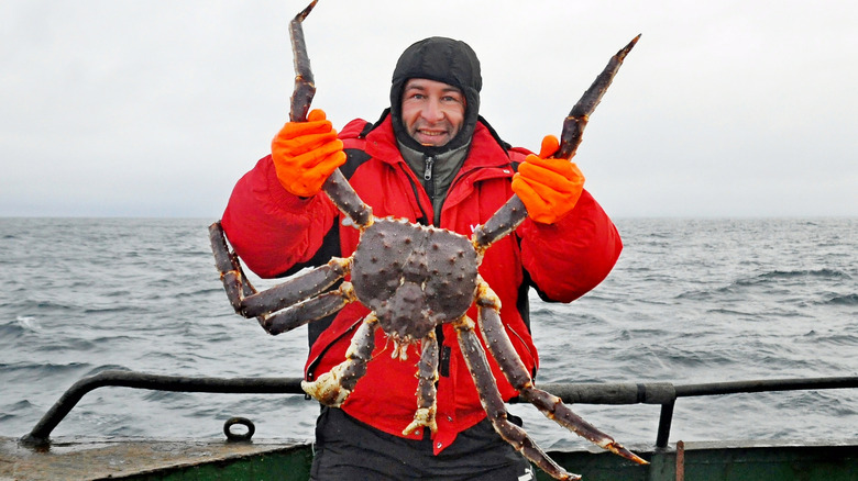 Crab fisherman holding a King Crab