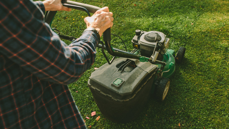 Two hands holding a push lawn mower
