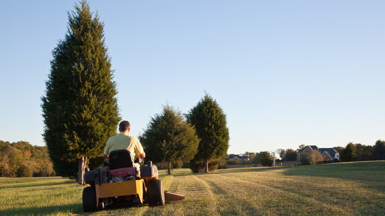 A person on a riding mower cutting a large lawn