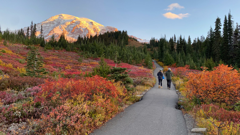 Hikers on path near Mt. Rainier in fall
