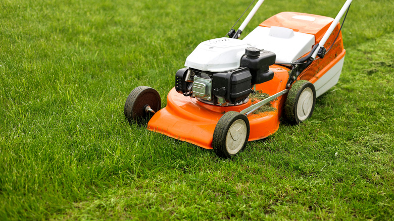 Orange mower mowing the grass