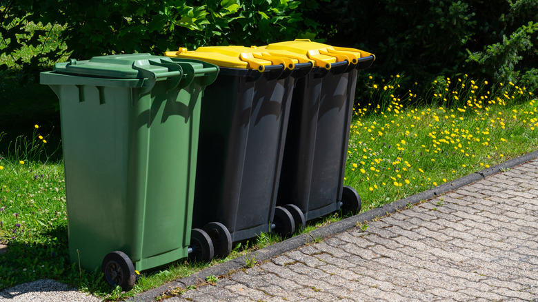 A trio of unsightly garbage bins against the curb